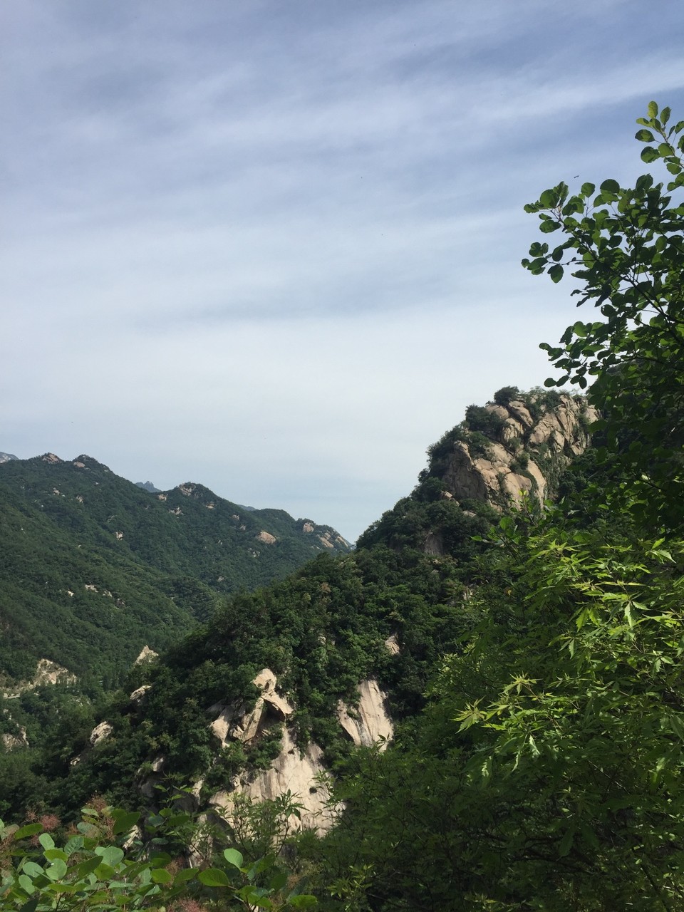 42981F18-B7B3-4B48-BA04-2792369FC3E2