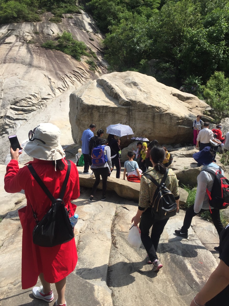 43041466-1336-4595-831D-BBA8ABC43F7A