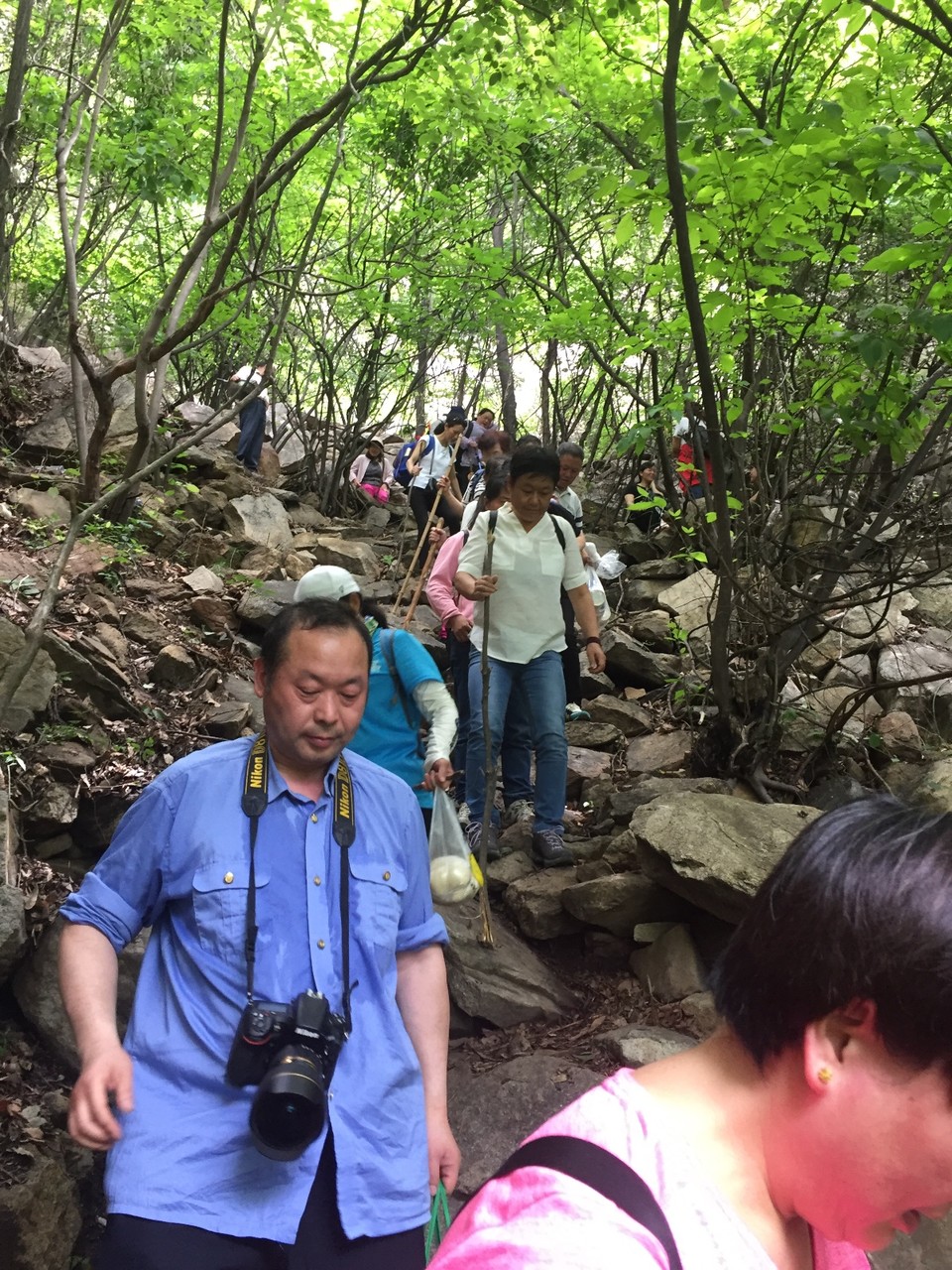 E6527A15-589F-4733-8091-BB619A84A16E