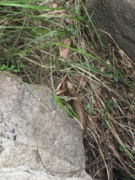 FF1B5A94-8DF6-4CE1-B3CA-53B45997603F