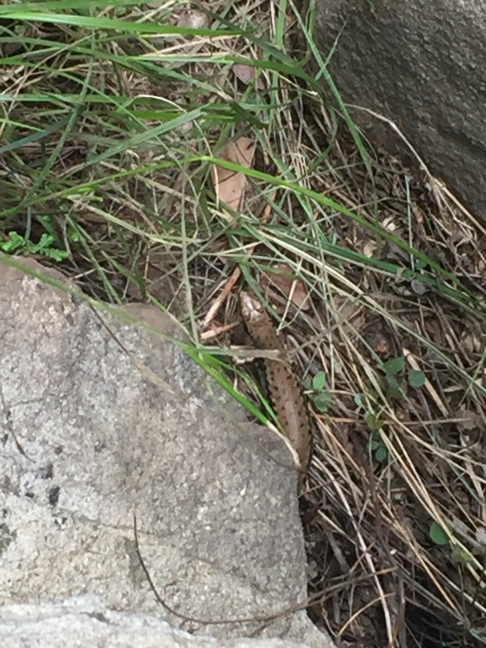 FF1B5A94-8DF6-4CE1-B3CA-53B45997603F