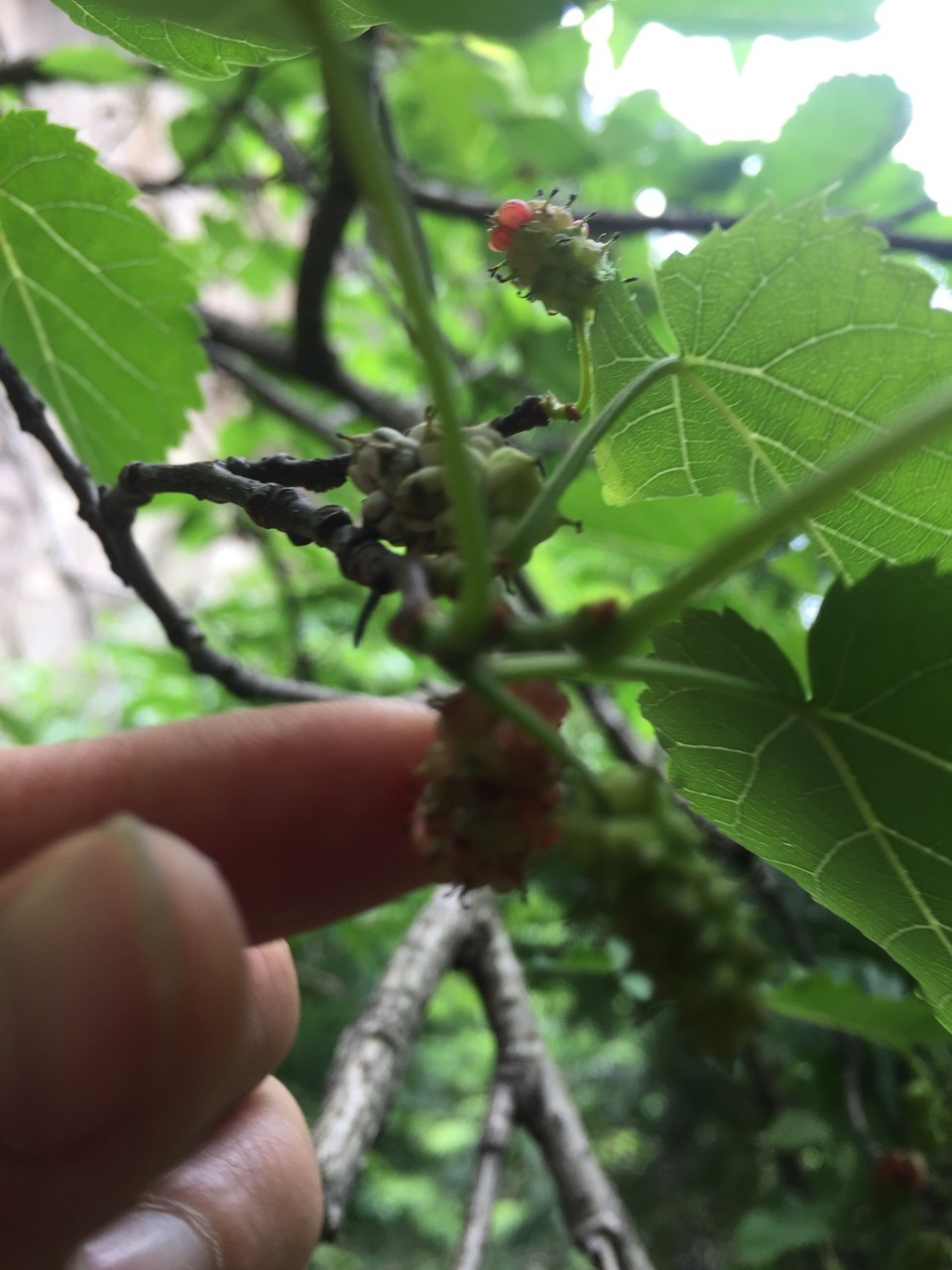 8E44B448-5788-4DCE-A784-2B25192413A2