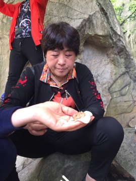 DC9D6537-3BDD-4B68-B7EC-7B037B03C14F