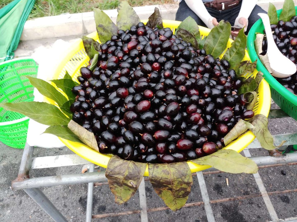 0rKuZwWVgv0EcvYLm5YUh_o9dPnK93LNPrt10dXdf6Qz3ydDOELwUXHdcWruO_G0