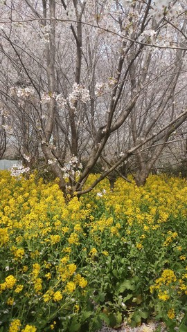 4qZsIrGjsQygODjB8Jwvj6alkHCPZGTceWkrkbu4NQ-M7hmZ2UUkaD0CtXFFskPv