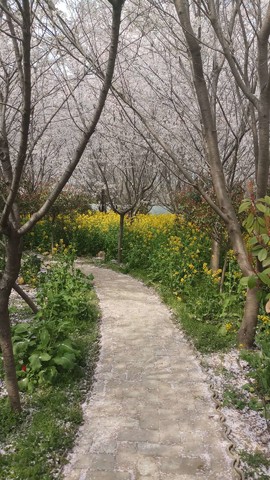 cEq2dCrQmR8DPk1XNKSSlAOKT1WnVWGK6l7yyok5rreaopS4qQgheUNDFVR44Csq