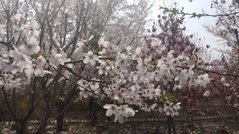 e9iDD3HPanppctCDsxjayKut_JO15iqd_hF_JK1pSsT7vwqBTDHNPcmUzuT6DD6I