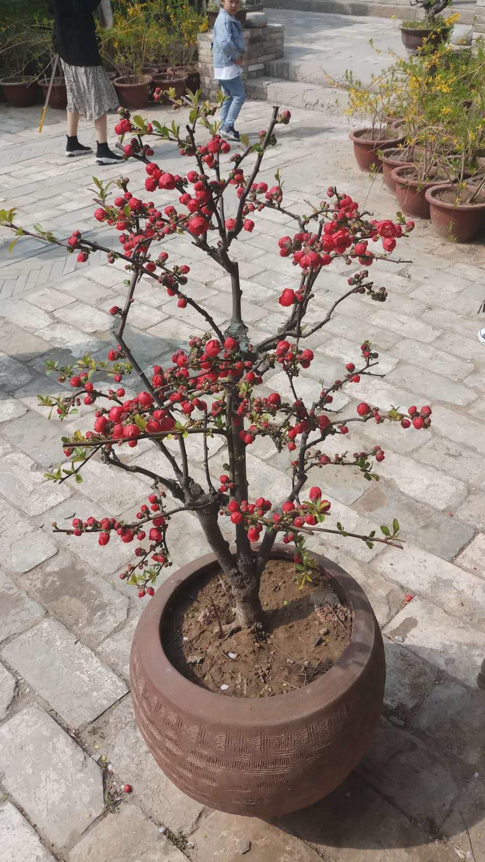 NlWvv2twxP9tjYgN-CnpDpH9RCEDEVeNilH-Wv6rLggU4cPgrobPmMLCG6GLJcQ_