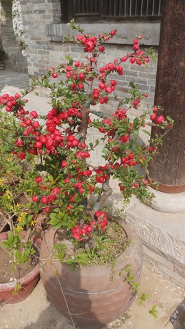 7yNGxUF53MJNBX0B9vWOyiUz8pQuB1NpBvacfBGWjOgyaBM9mPkp3DsGwKA4zexb