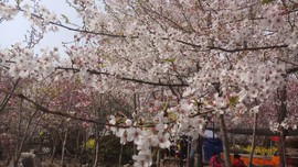 rnDEHMq5dTsmDyT_vhLKV1196-QydHHtodDcIFVbTJ7Vm7sRrjsdn2bPJjgWQMnf