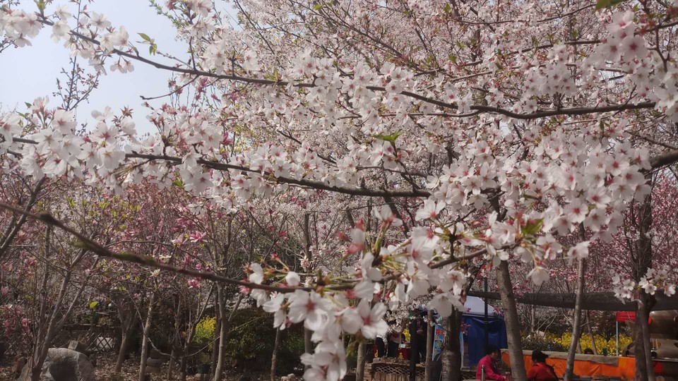 rnDEHMq5dTsmDyT_vhLKV1196-QydHHtodDcIFVbTJ7Vm7sRrjsdn2bPJjgWQMnf