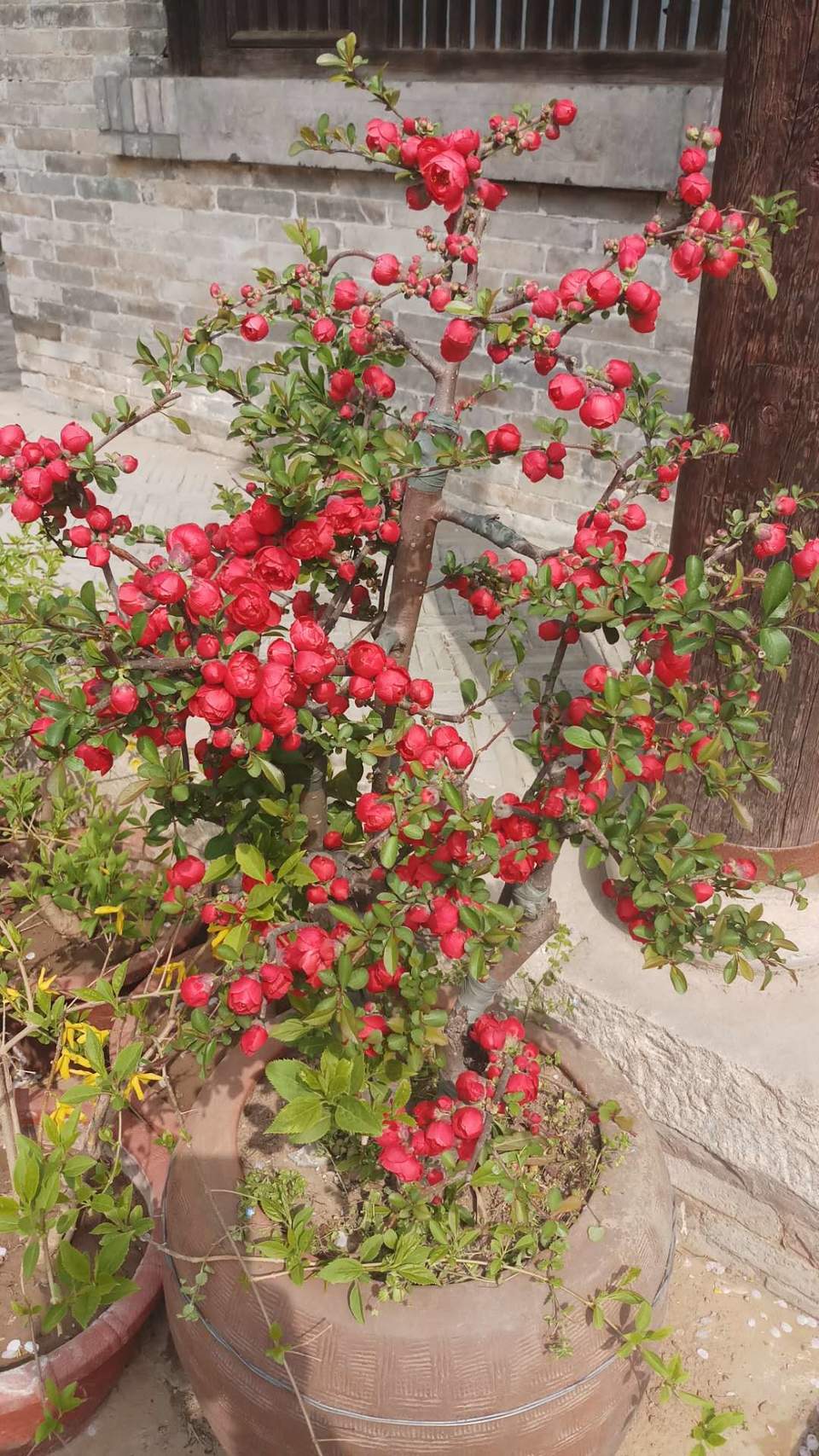 aM2krZTyCJkvvFM_QIfFtprwqhwR4lMbUH6YIoGmh-04Q4nLEQaHLrhZdRAIRSkS