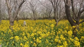 zc7ftQXudY0LoVUIvEZw5HVLMZgi5bZ1KiuhhDbaRg6rUvv5zhj5uDAyQ84CkYJf