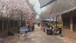 sE5Tvf8Unre-8lF3HP50JUq-m64rI8jpdyTsXbUOmb8zYVs66y5dF44m5i0K3zY7