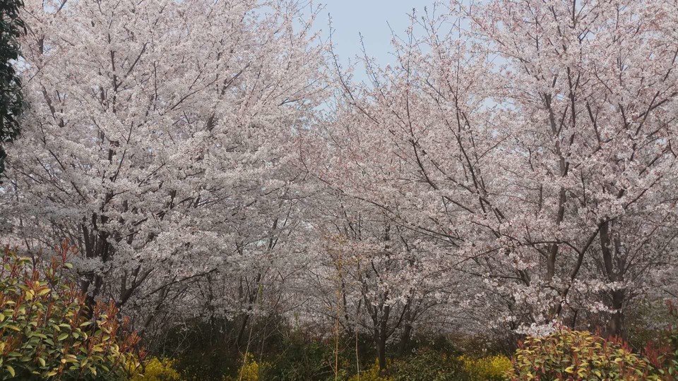 TP1EOQ61I6NUAb-o7prxztwZamx47ty5b9xx8rbNNRNsn16ihyVrv3gxV8bDJbSa