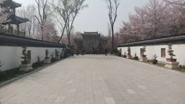 poluKSE4qhFoFh9AkzwSvrq9i1rygAPKohFh8uBJ2QWIFSBPm-_foxSx4BZAFDhW