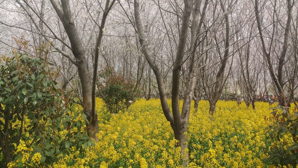 9F-MSItLK3z9XQbbvcxpCsiMkUbMTvWWmuqgnqap5dKJ34pvwqwnBxiE7CbVQzU3