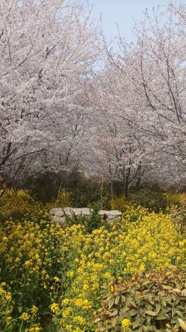 VGG7UJ12IGbCX9jFS14Gl31Uw7l6gTV9psAPRYl9cQgLrVSNGzadOSn4fwgEdYKW