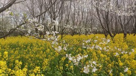 dxdnGgypHgoWHiFML5QPePN4lSWnuHYLKPixhCYNJzlIjgBl20XV0ZMOr8aBt-Dt