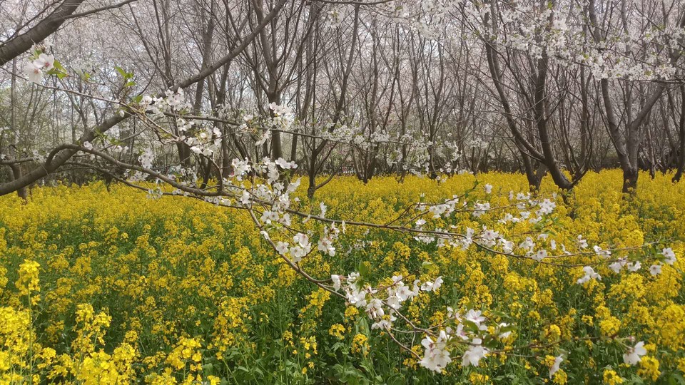 dxdnGgypHgoWHiFML5QPePN4lSWnuHYLKPixhCYNJzlIjgBl20XV0ZMOr8aBt-Dt