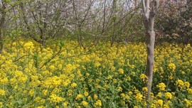 DggubKa60X26es709Jo7mD7pc1zEkfj5EA6myHGMyCr3ChyByy0ggDjewyjFrdco