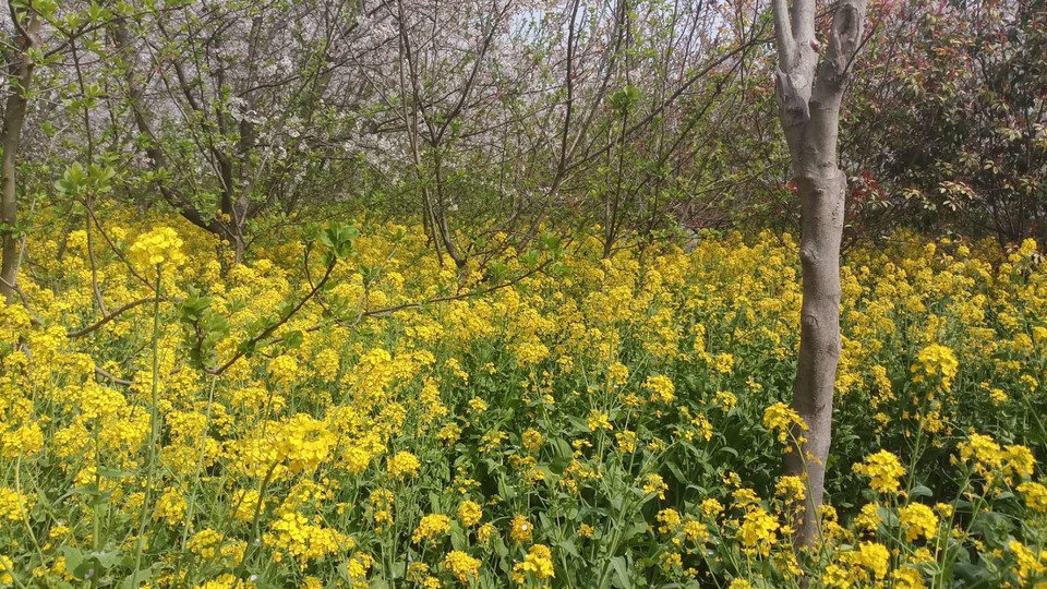 DggubKa60X26es709Jo7mD7pc1zEkfj5EA6myHGMyCr3ChyByy0ggDjewyjFrdco