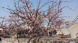 79UOzbtyal1UXyefQXclT8PPFz3fxd6Kkxe4bKVanmEJQkKmebdwdwAD5w38S6Xs