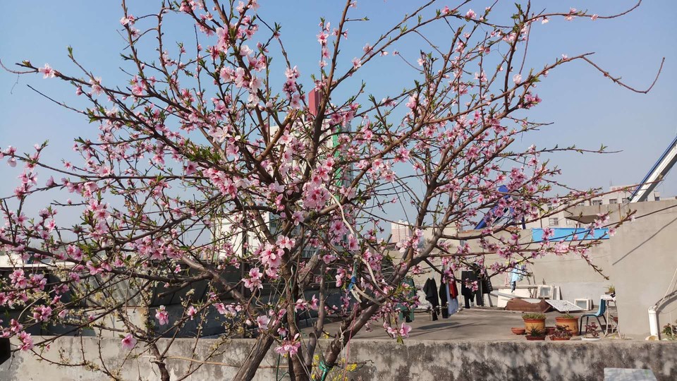 79UOzbtyal1UXyefQXclT8PPFz3fxd6Kkxe4bKVanmEJQkKmebdwdwAD5w38S6Xs