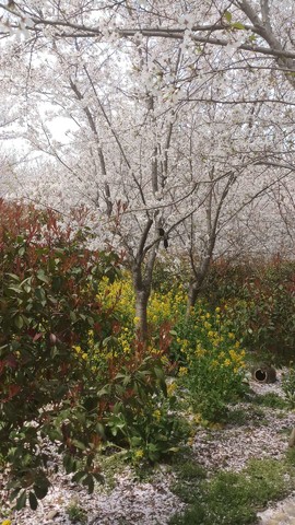 ERnDSqXicobjp4C_q3gCOUFWB-vLvxKaPj8wjKZ7-9UpKe7h_vJlpW8sqko25W3c