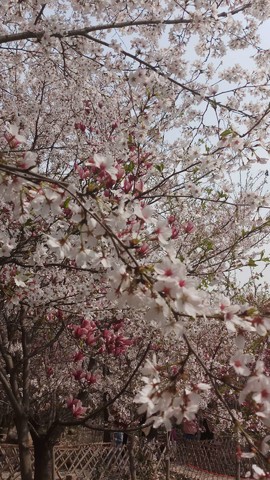 ouCAhsUoRCgVEylzYROa6isjoXx6ND-N5n2HzXdHPVSZbX1HOKnFOmw44EqMcEA0