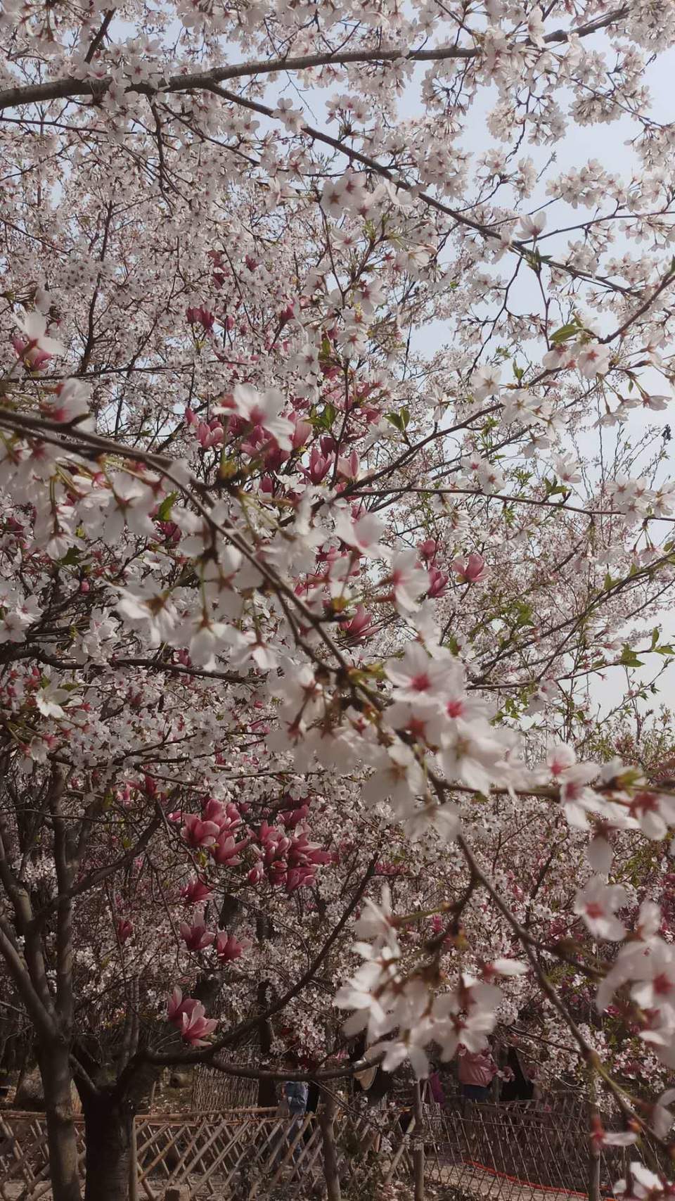 ouCAhsUoRCgVEylzYROa6isjoXx6ND-N5n2HzXdHPVSZbX1HOKnFOmw44EqMcEA0