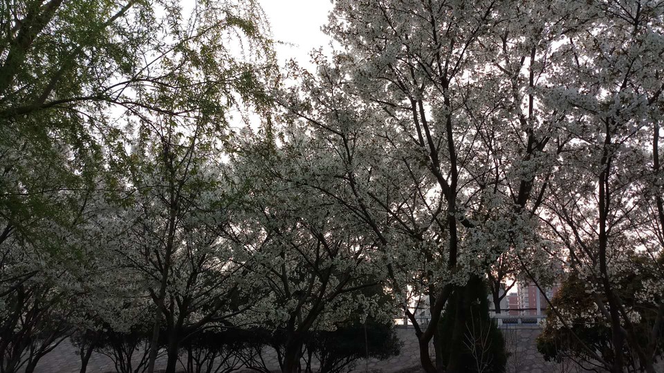 wwAEjk-pBVsWX5juis7GLXseJMqcKUwGu3gKYAi0mzPNWWH0D6ciknzvQo_mLinu