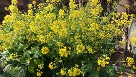 7yNGxUF53MJNBX0B9vWOyldQ354OGz2SUdtMfKvJ2N0_BXczsajjASgnx0MGnf23