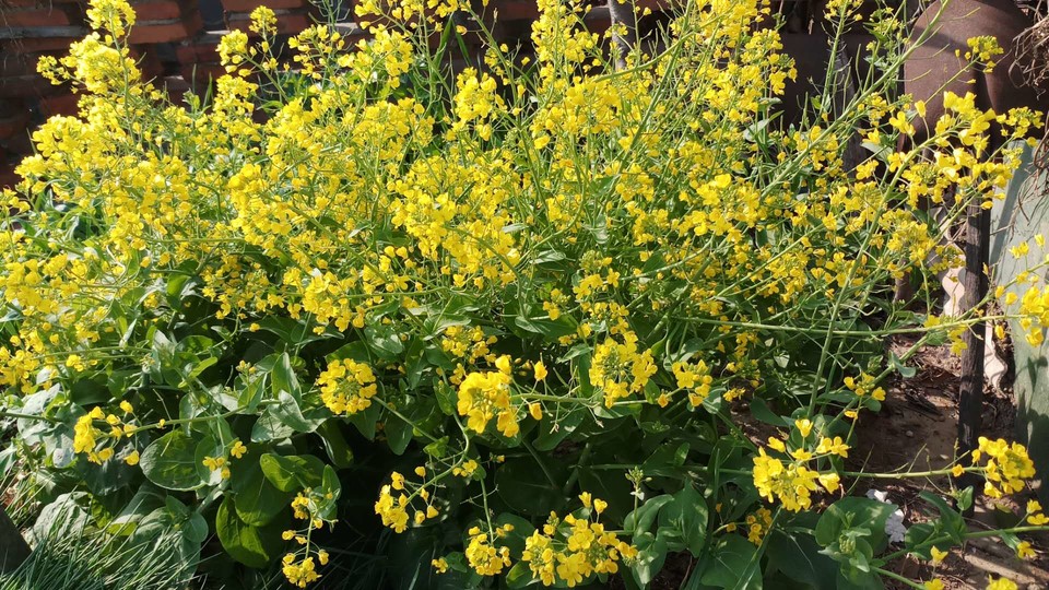 7yNGxUF53MJNBX0B9vWOyldQ354OGz2SUdtMfKvJ2N0_BXczsajjASgnx0MGnf23