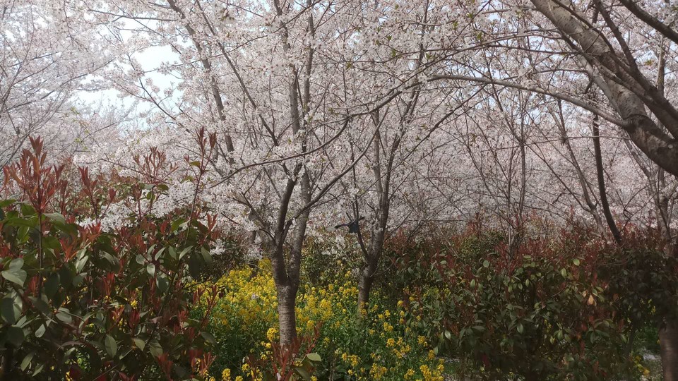 n_KEgZ2vXwdA2QRGlW0K7ZGH2CiYH_5Djns191GOin-vNndxEJ5OAZYqedMmjZS8