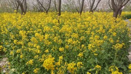 sdHvowHPiNpATgXjzaVApdajLxA49pQTUMLmmKoKTRaPbrNPMb4T7q__BVZXTnQB