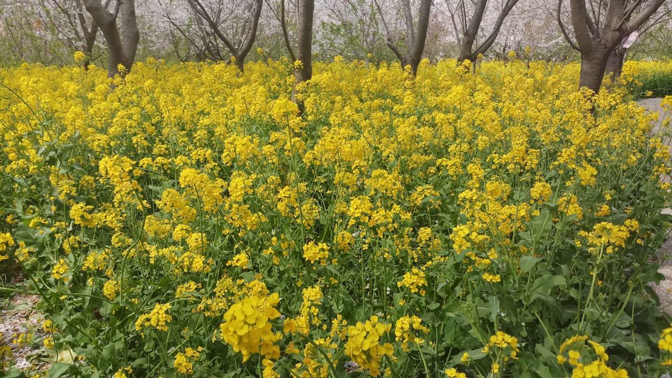 sdHvowHPiNpATgXjzaVApdajLxA49pQTUMLmmKoKTRaPbrNPMb4T7q__BVZXTnQB