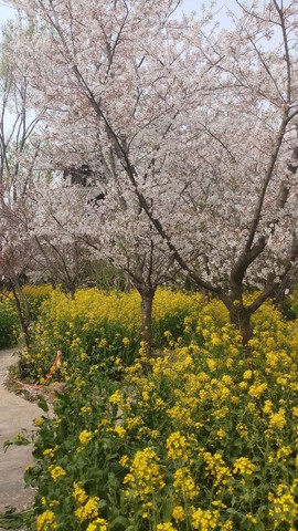 0mvrVkmGW5UV3mXeRmzjPhRADipnj1A931nX6SDUjIuSINkifIQYht3QDzuuqrKV