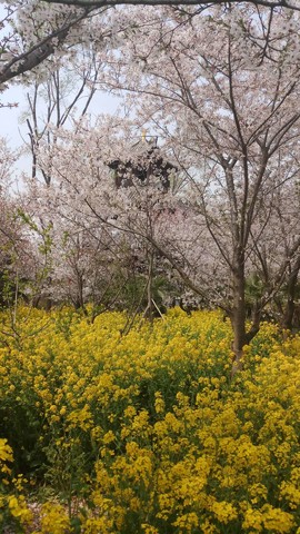 YMGgE5J5KKNkqDIsaUAkF2OmP71SpHwhCNhmWbNX6f9e82ixQ9xOdHsY6jXP5y9M