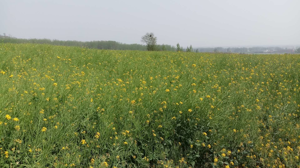 UqLmsSuZugdb6l0KZrwZM9MAZyJQ4YNLCHi-qMRar8TyZu9aN0H-L890u6koQrWz