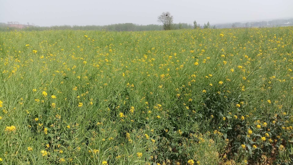 YgwUk021n4j9wTVVt6mIoZMtuA9MsYmJNdxeRBCDekMmO2QK9FsuED3xvLeer5LP