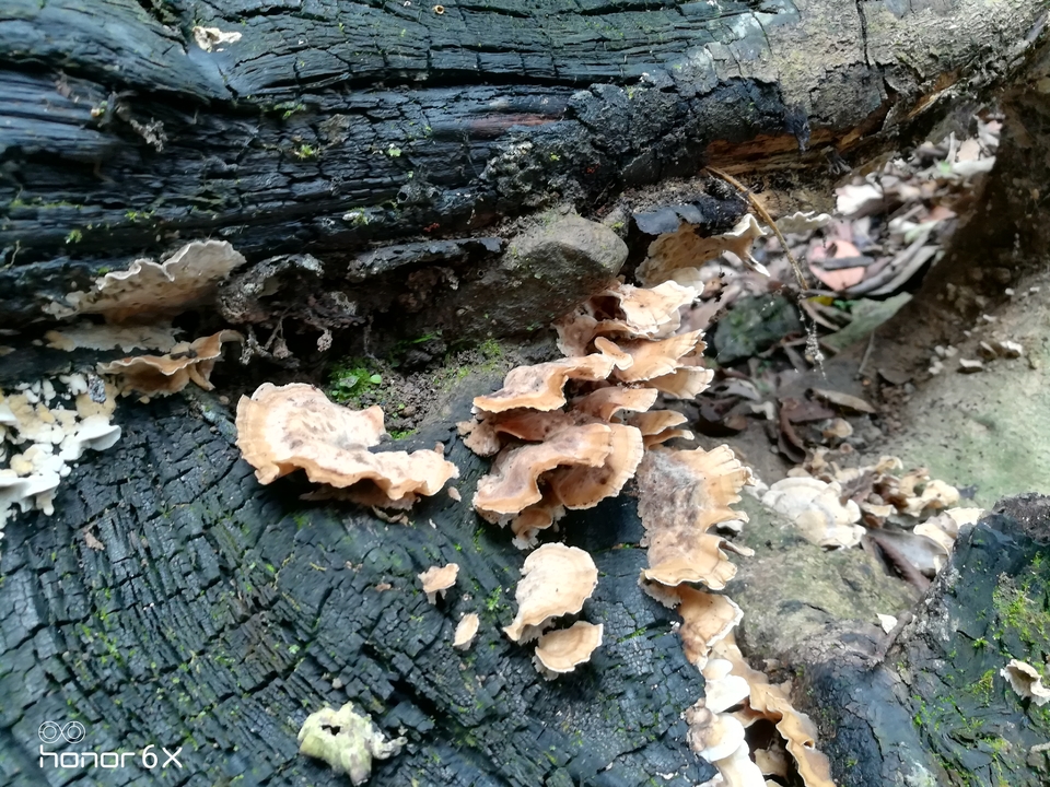 wcys4OJWo_MQ_NYDlqry_vr3GLY0Etusa6pxZLz9jyPCjgdjdkBdd504CIt-DJBu