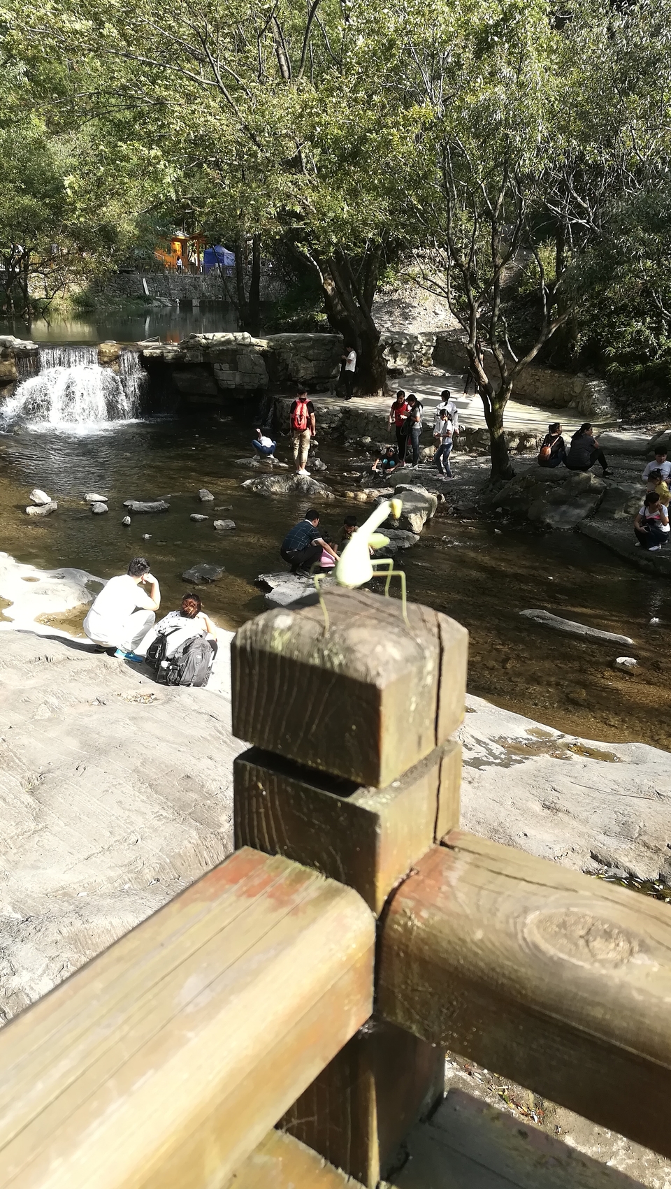 b6z47zRIOD3s5_7frPfd5YY9V2xfmtizMRROA5htwoIdAxHBbMUIO5ID2DfA32hu