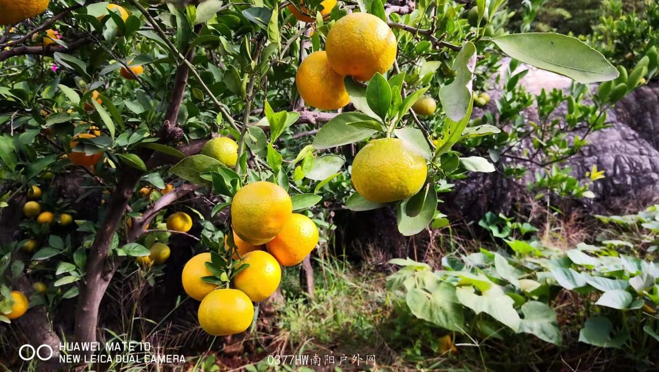 xtweQOyXLvdiWxMGnFQ3T0GHkl0rQhYVGqqWZLcj0IZrsUgBJQcrZpENm9_1OxTM