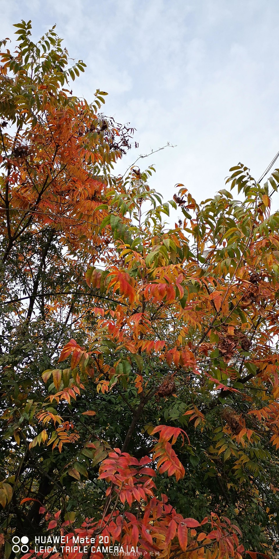 G2IVubl3pvPMdDmxEzIDfDv5KYJwTBaE_jtQ7mrT_2tqEdVzNBYzLOKpGJ_7eD4B