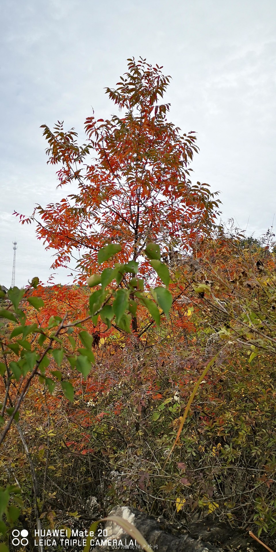 3H-zIAK--XXrscSBUPEGw0W09Hs-iBFVoRGWyzXmYzpesm-h-1qOsHIEdOXLirch