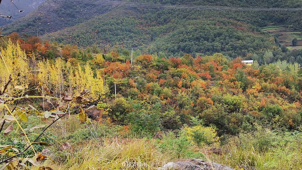 kx5kt7ht68OT3h-vNXF1aBH2iVZo91x3Hlm1NzRUhlOjzGEzrg_nU71DzyVa3NR2