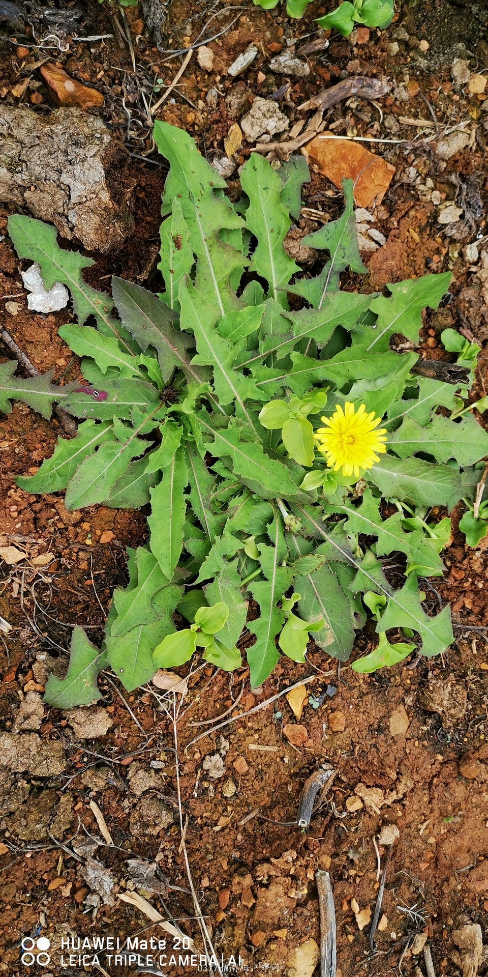 5f-_krrUUidnBNV6Y0nfSGi_5_nf1CZuYWaKNf29PHgtMnJ9m5lgB4GeWJrtf_AA