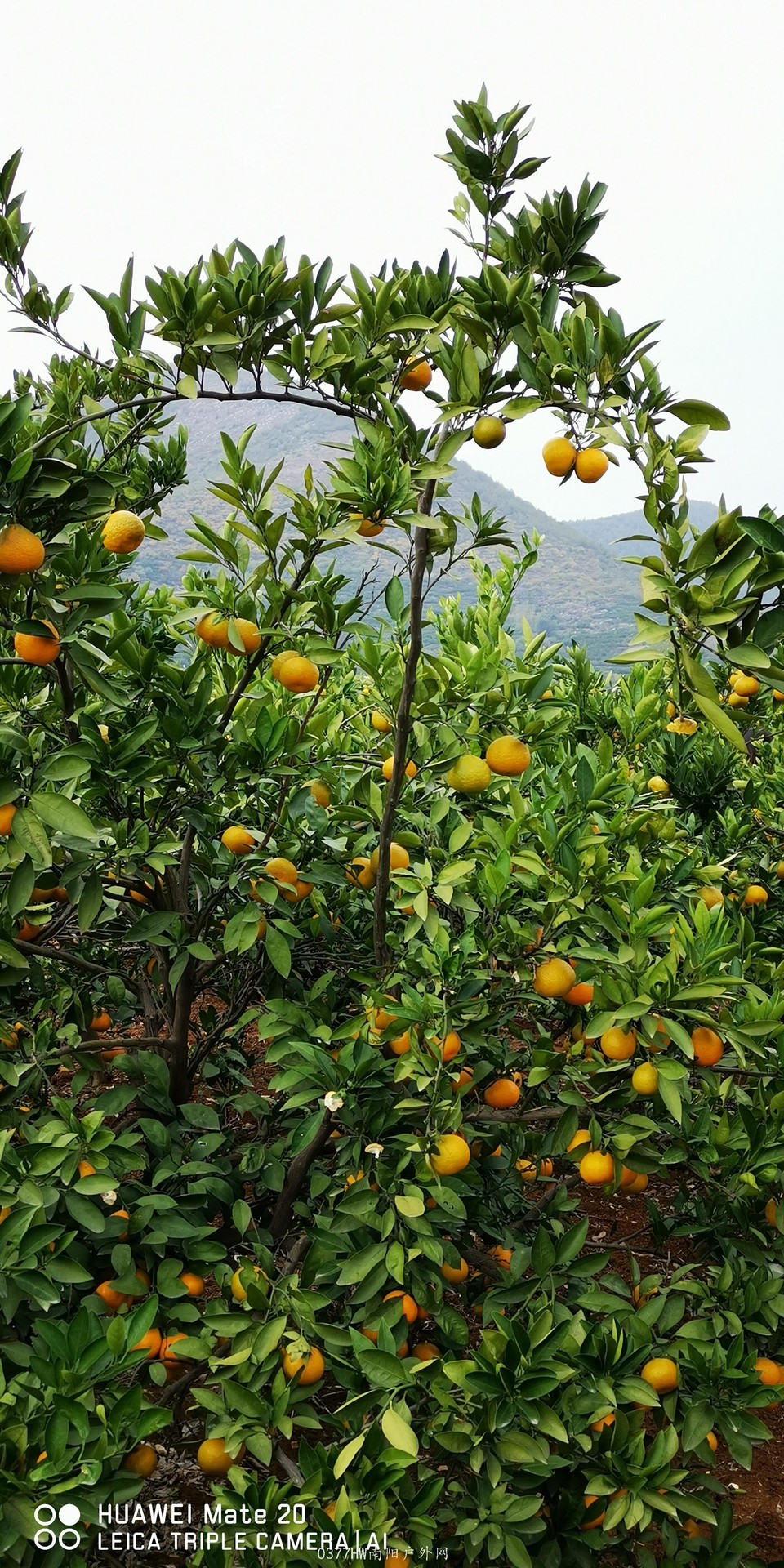 XpKr7Pzg3HrTW0fqoUpg_x29-kQlMUTh1eCcLglvf7X7xYwSRrYvc4dNJPwg4w7p