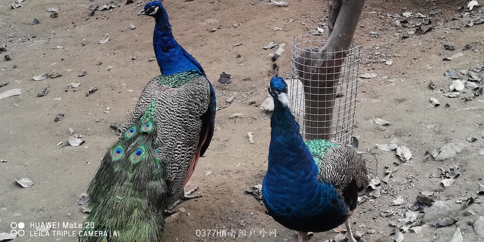 v4PSES6LYJ4LHOrP1QVoMsV8j268q0LKJ5bjAFlcFVw8ebOLP2zdjCLgyr9r72_-